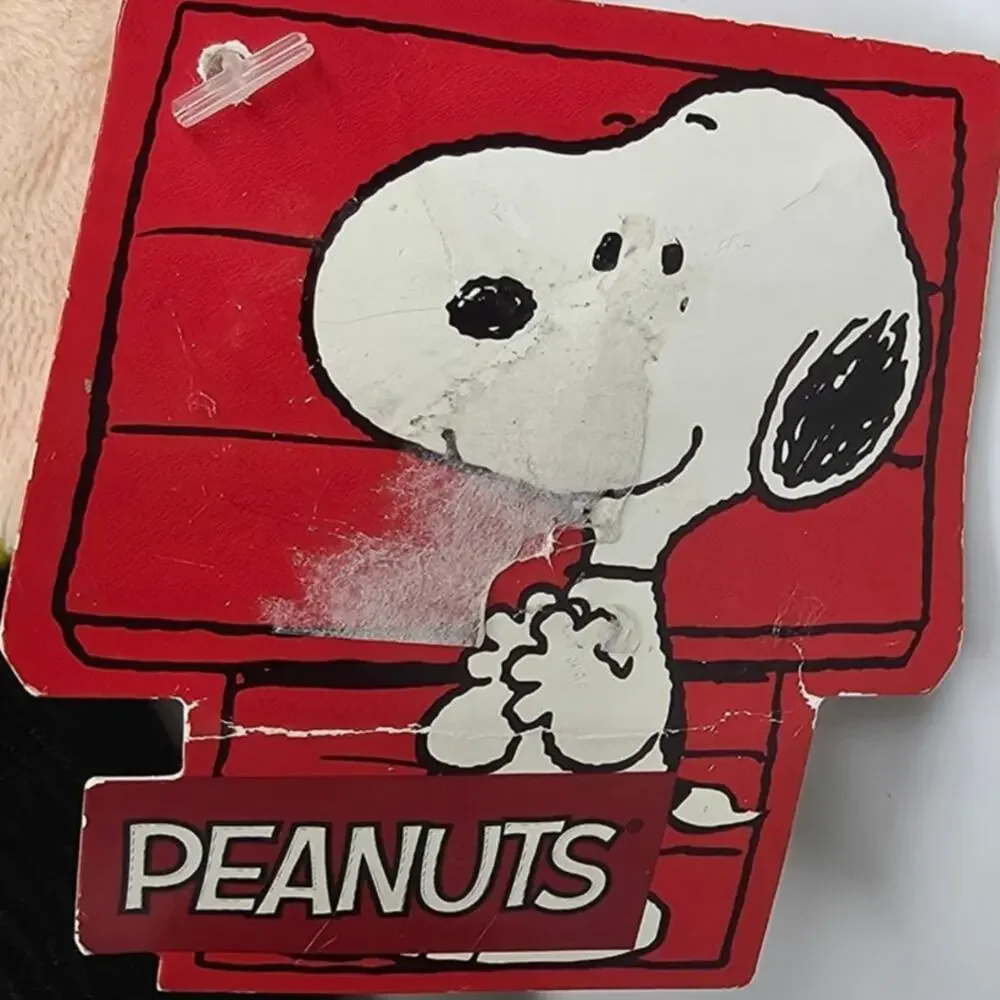 PEANUTS CHARLIE BROWN 12
